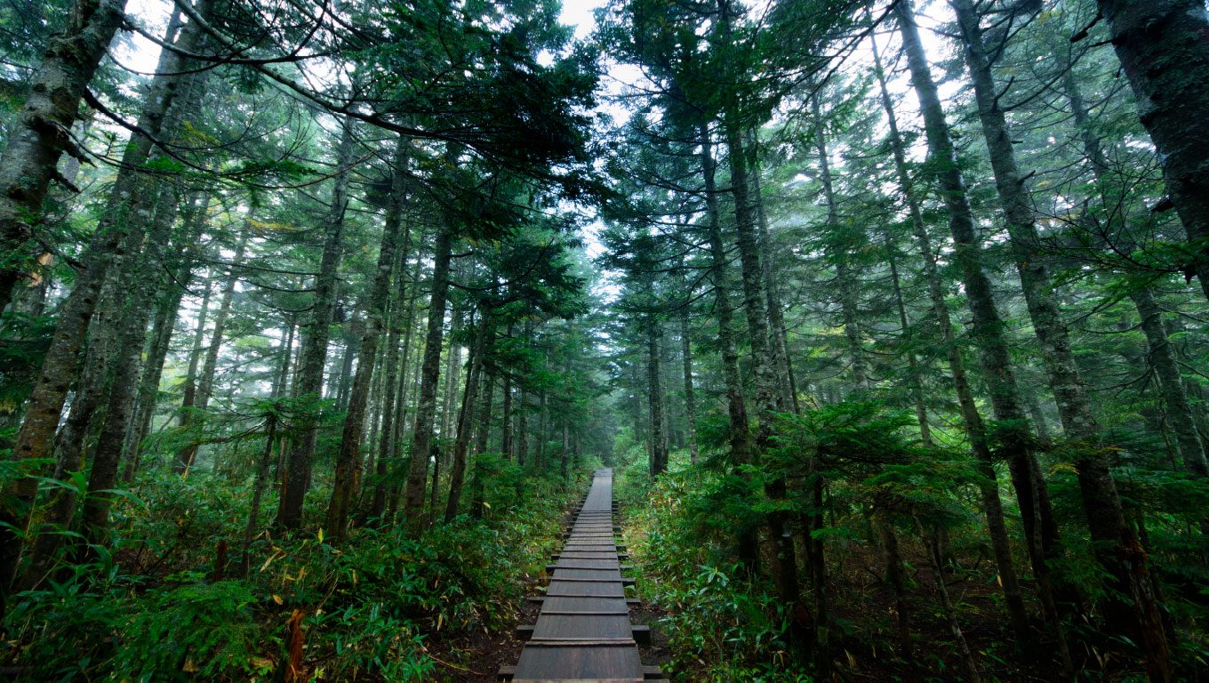 Aizu-Numata Old Road