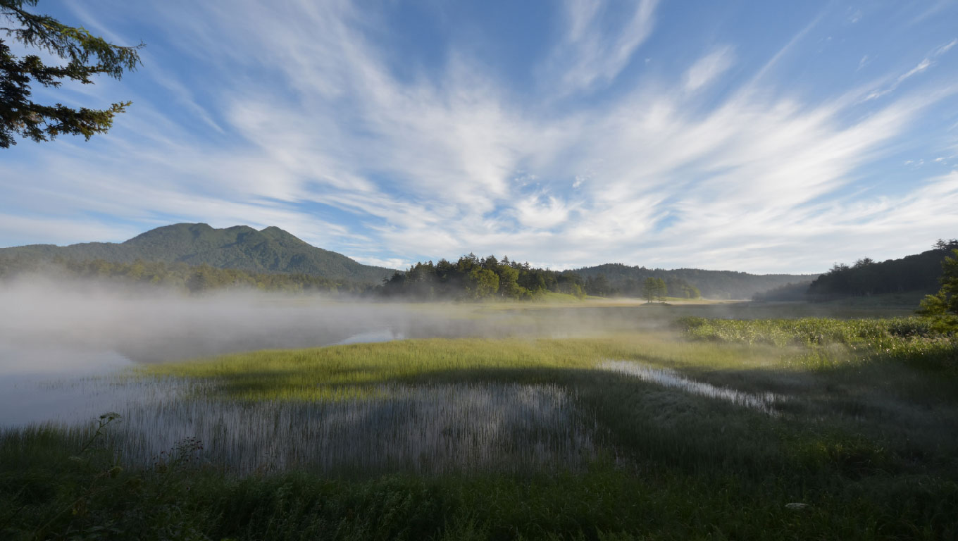 Ozenuma Swamp