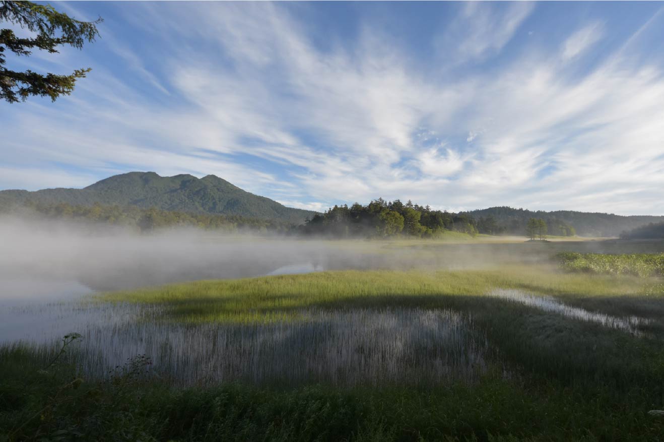 Japan's Summer and Autumn are hot and humid. So, Let's Head to Cooler Places!