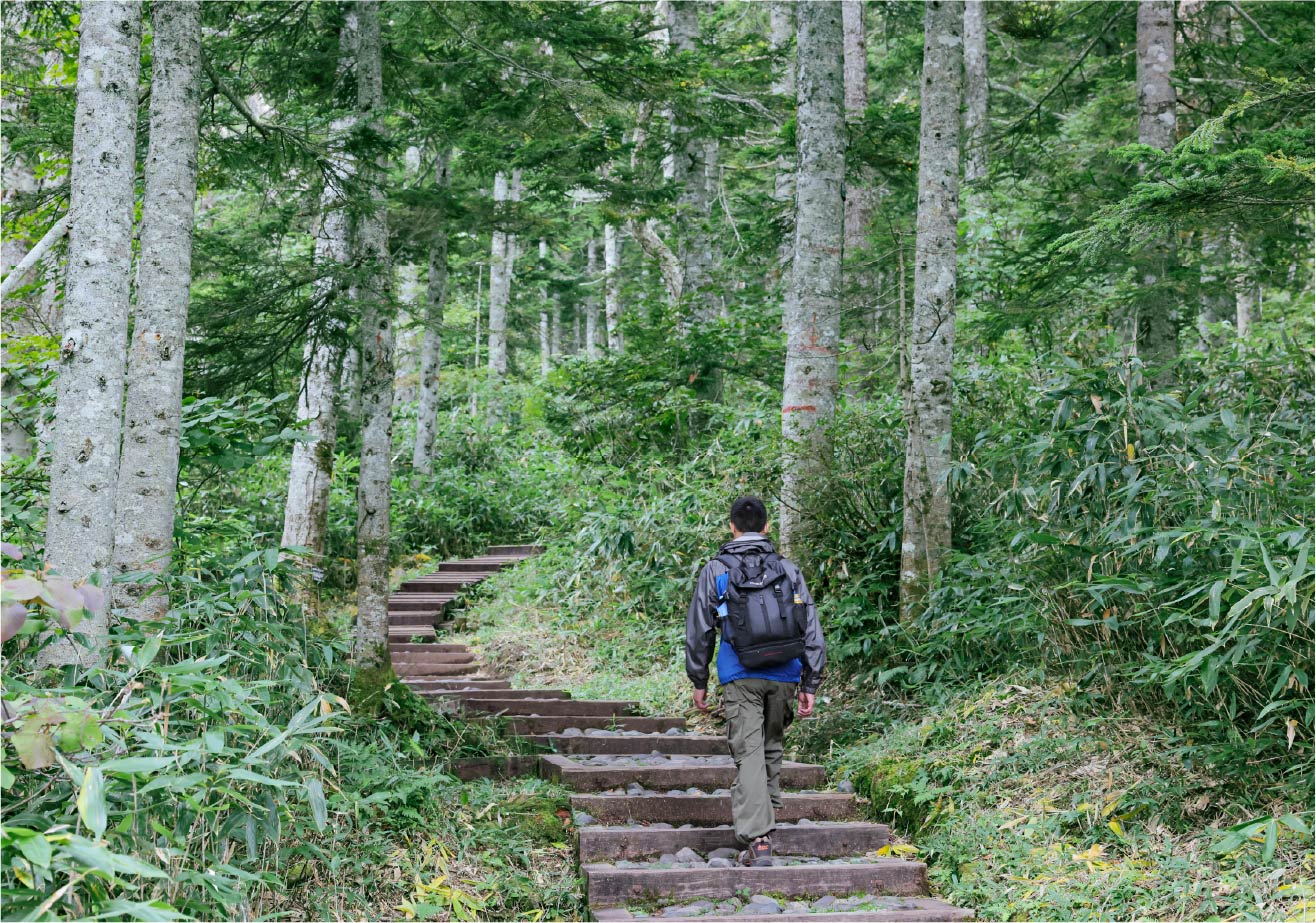 First, I walked for 30 minutes through the forest.