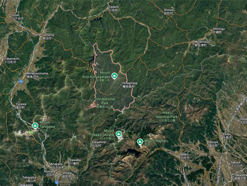 In the mountain streams, each cast of the line draws you closer to nature — a serene fishing experience unlike any other.