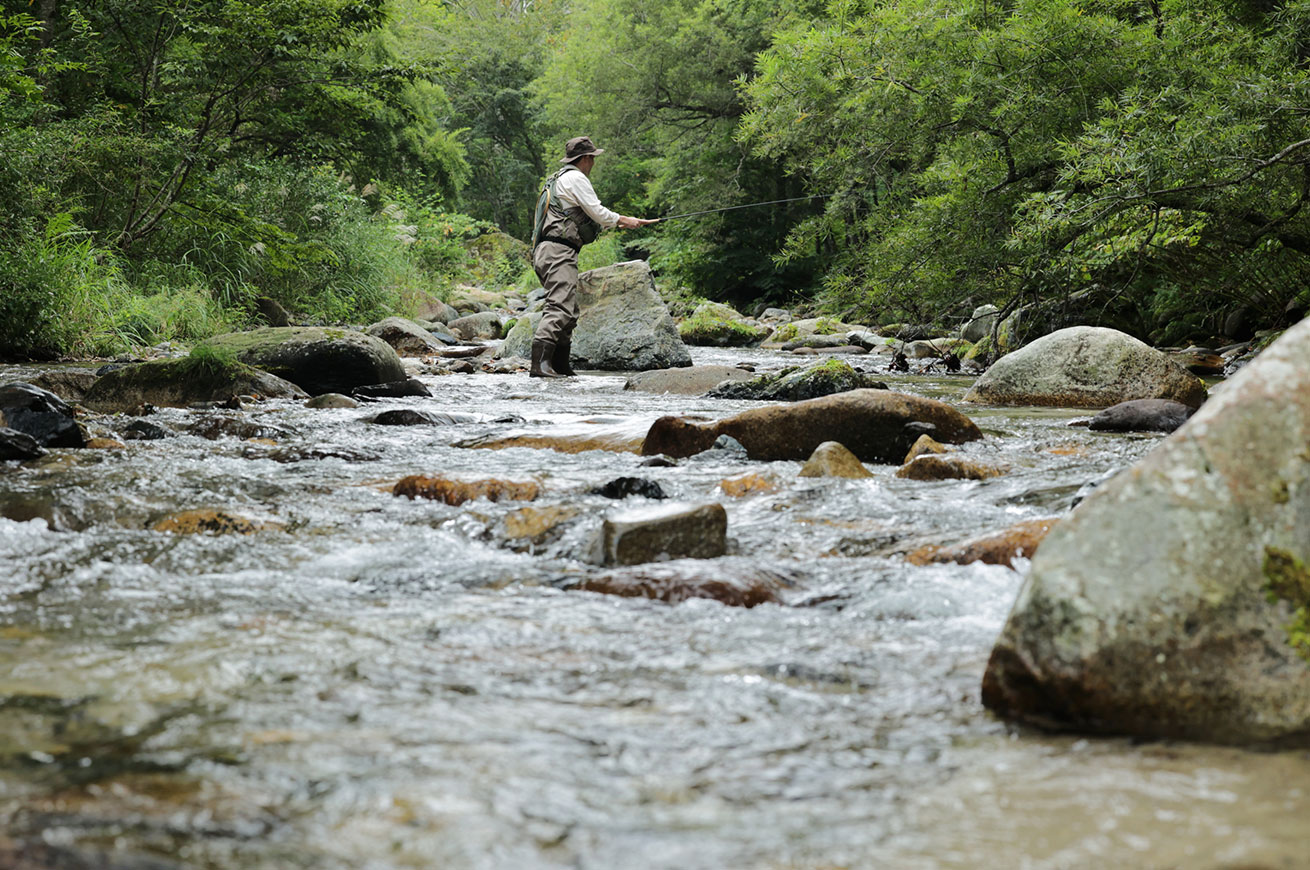 After about two hours of wading through rivers that flowed deep within the primeval forest, I finally caught an Iwana.