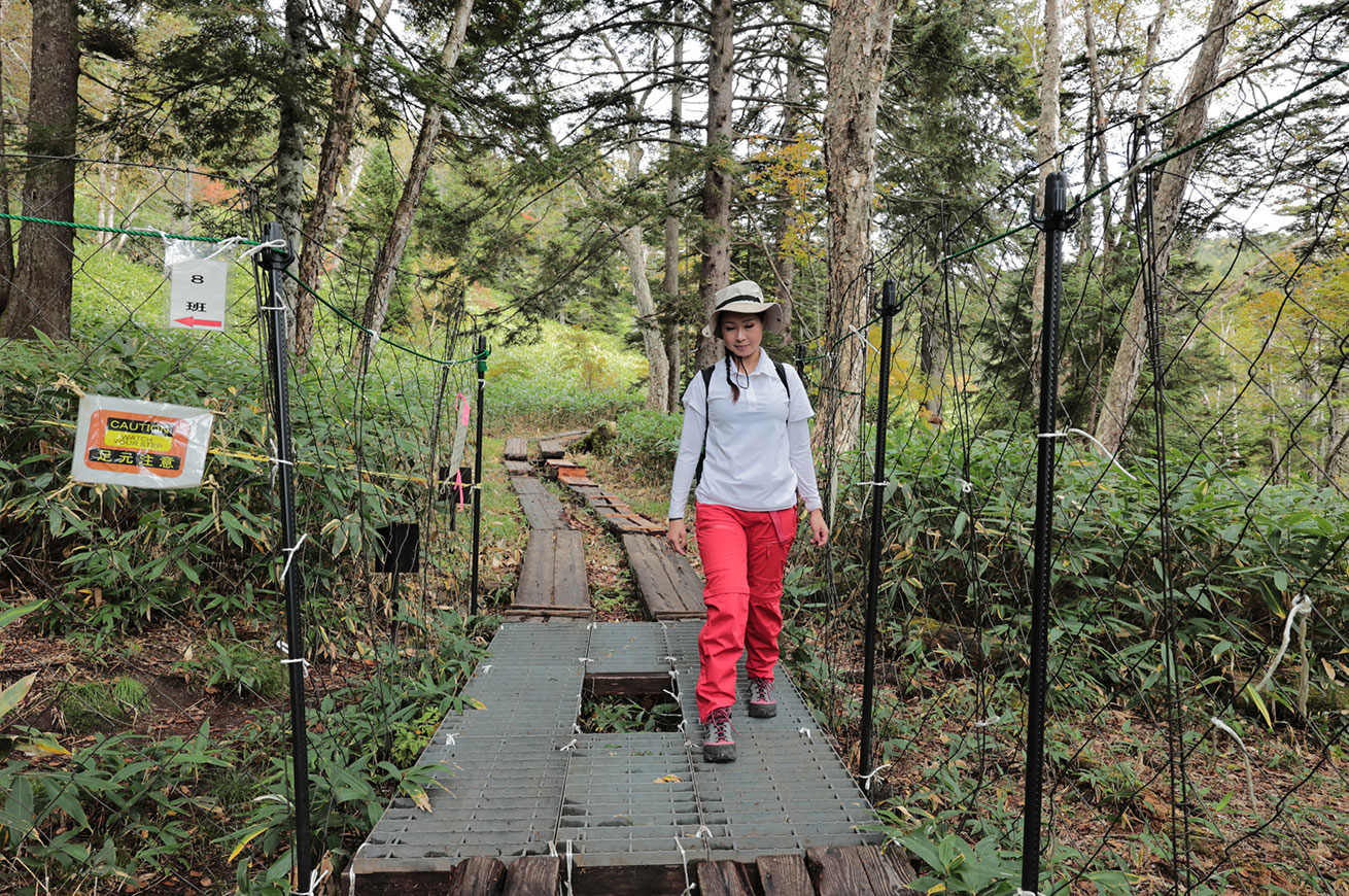 Deer protection fences and metal grates