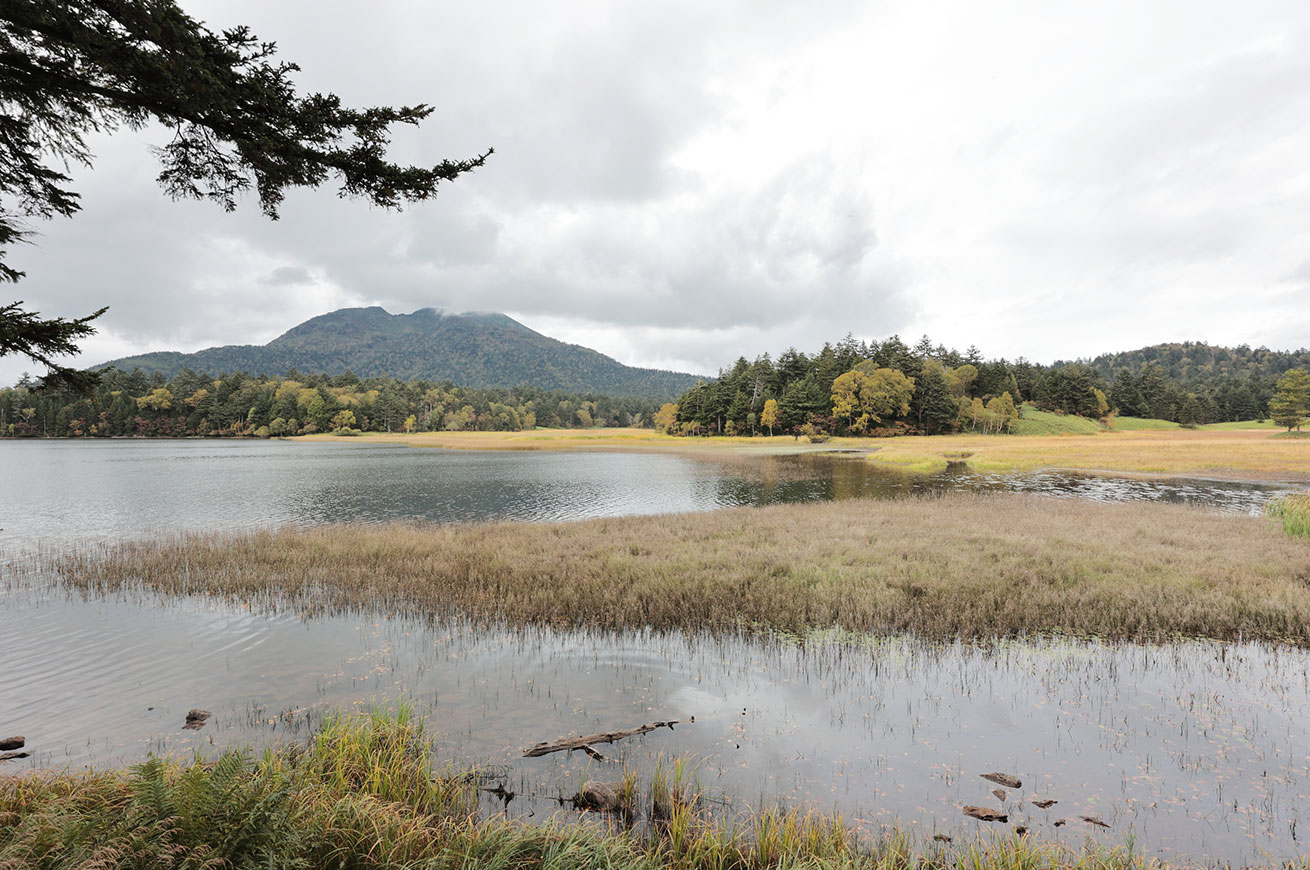 A mystical mountain lake with an 8.5 km trail — Lake Ozenuma