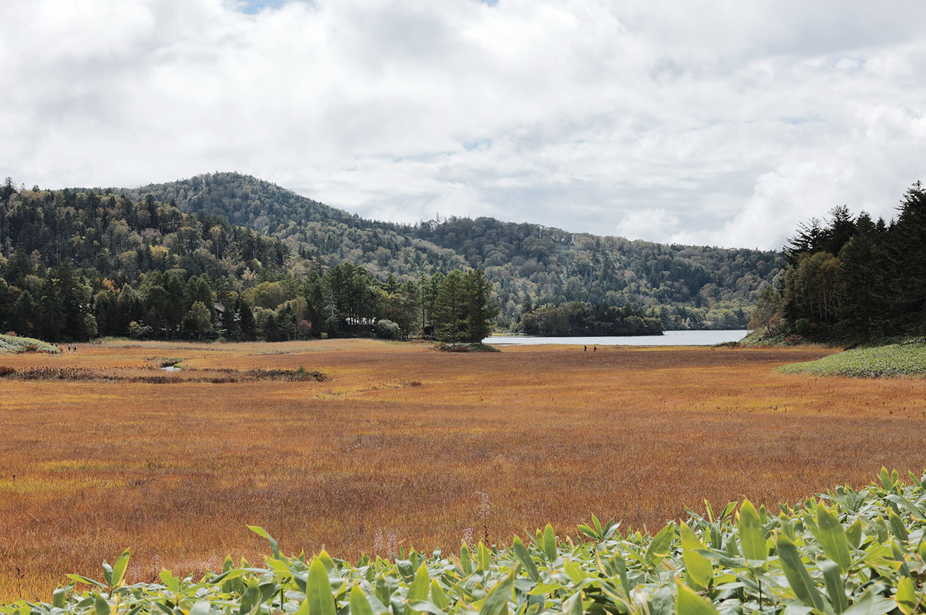 Oze offers a wide variety of trekking routes to explore.