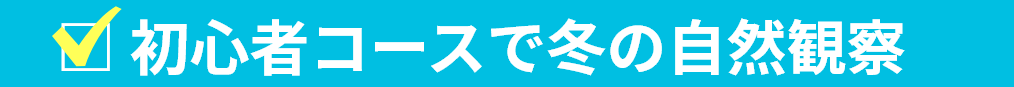 初⼼者コースで冬の⾃然観察