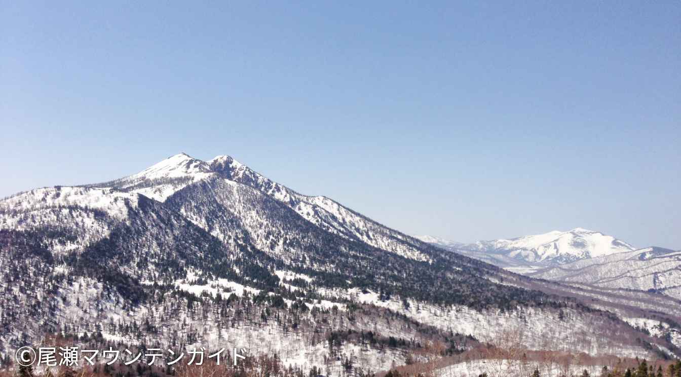 ⼤杉岳コース