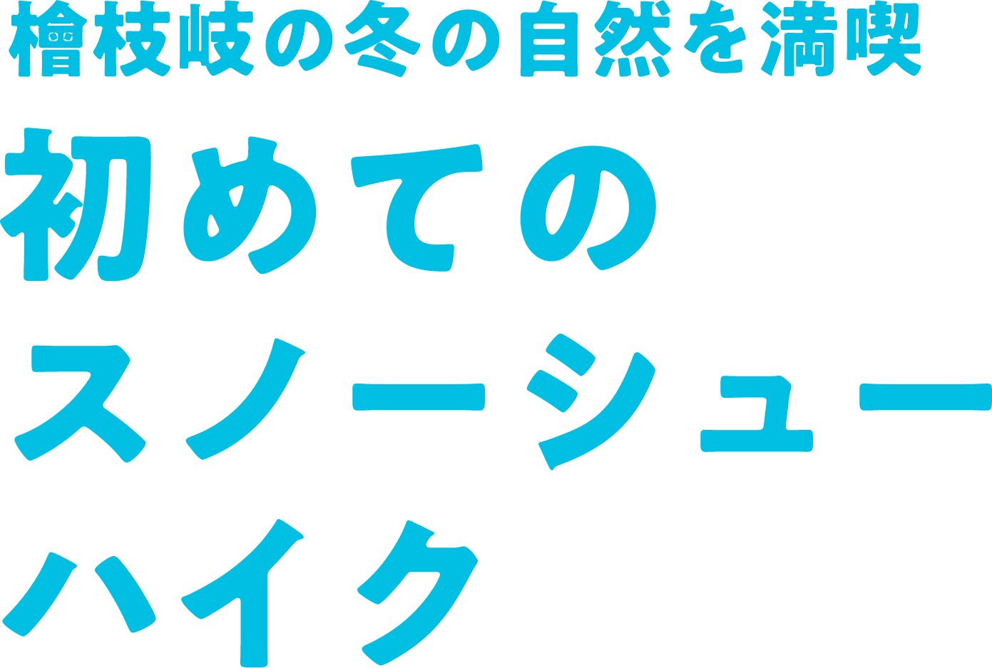 檜枝岐の冬の自然を満喫 初めてのスノーシューハイク